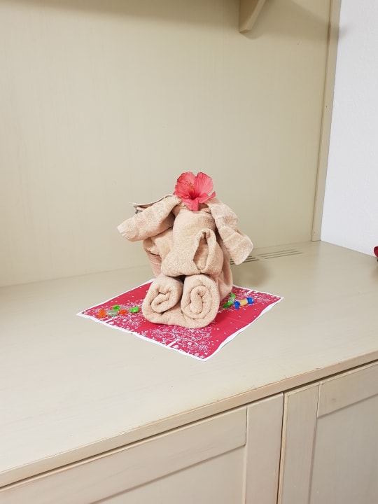 Zimmer SBH Hotel Taro Beach