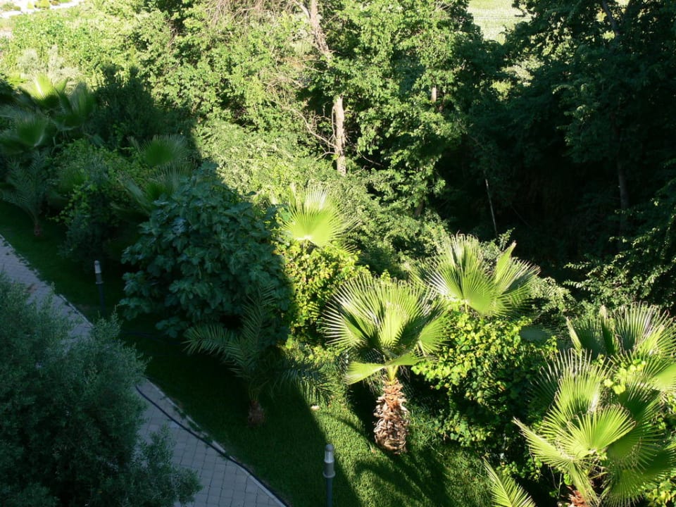 Blick aus dm Zimmer Hotel Orfeus Park