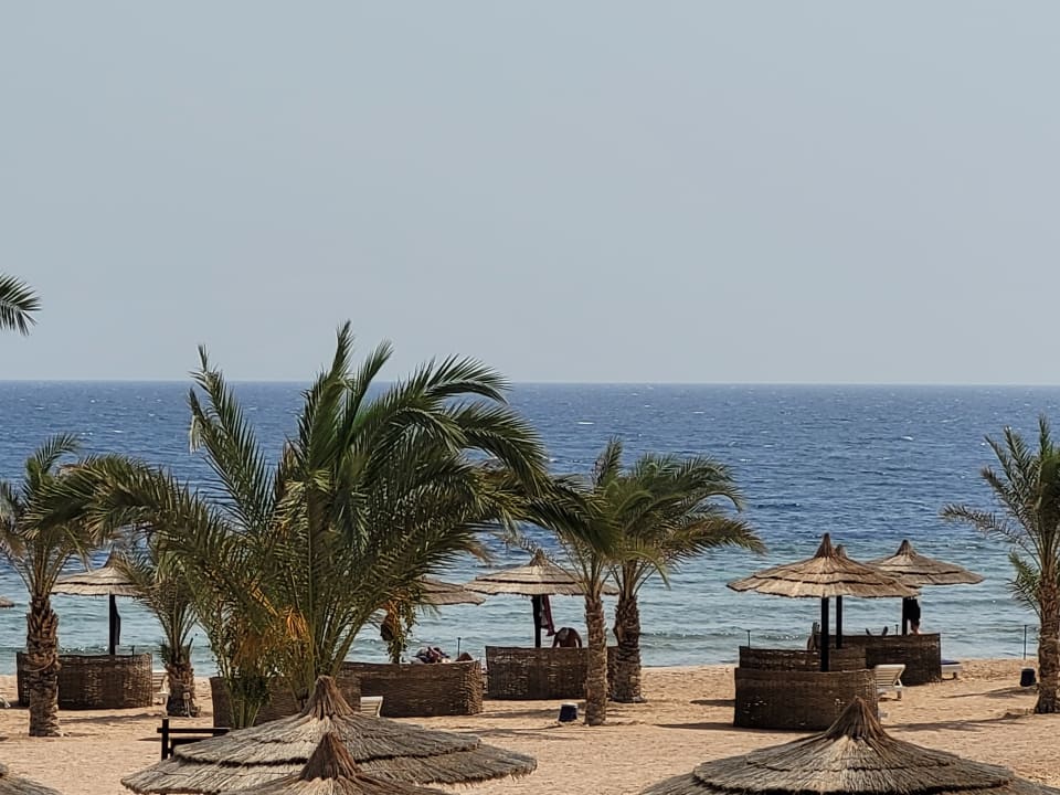 Strand Coral Sun Beach