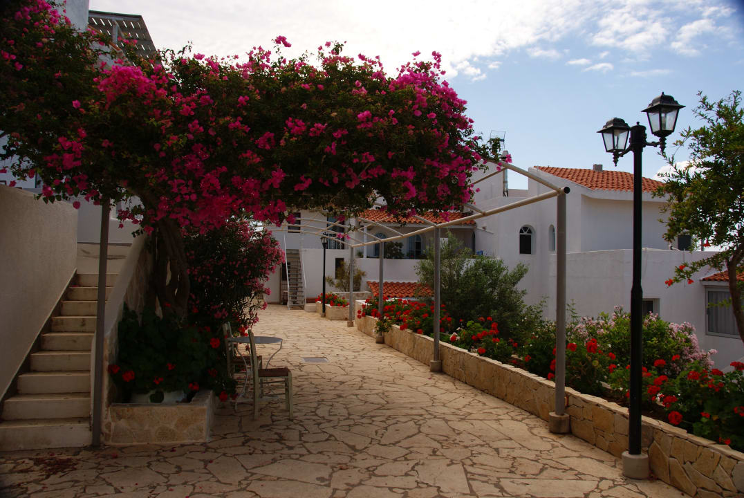 Außenansicht Aroma Creta Hotel Apartments & Spa