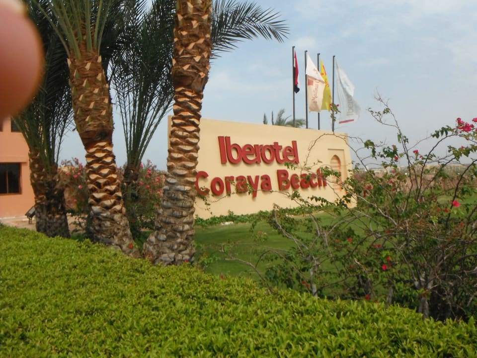 Einfahrt Steigenberger Coraya Beach - Adults only