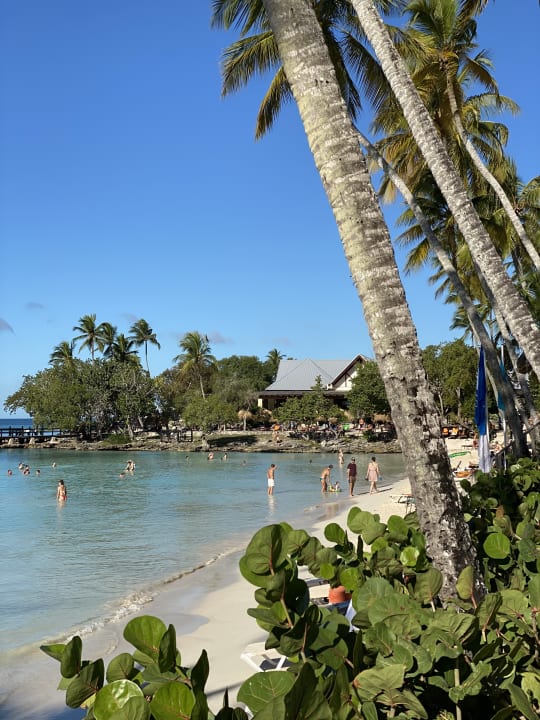 Ausblick Secrets La Romana Resort & Spa - Adult Only