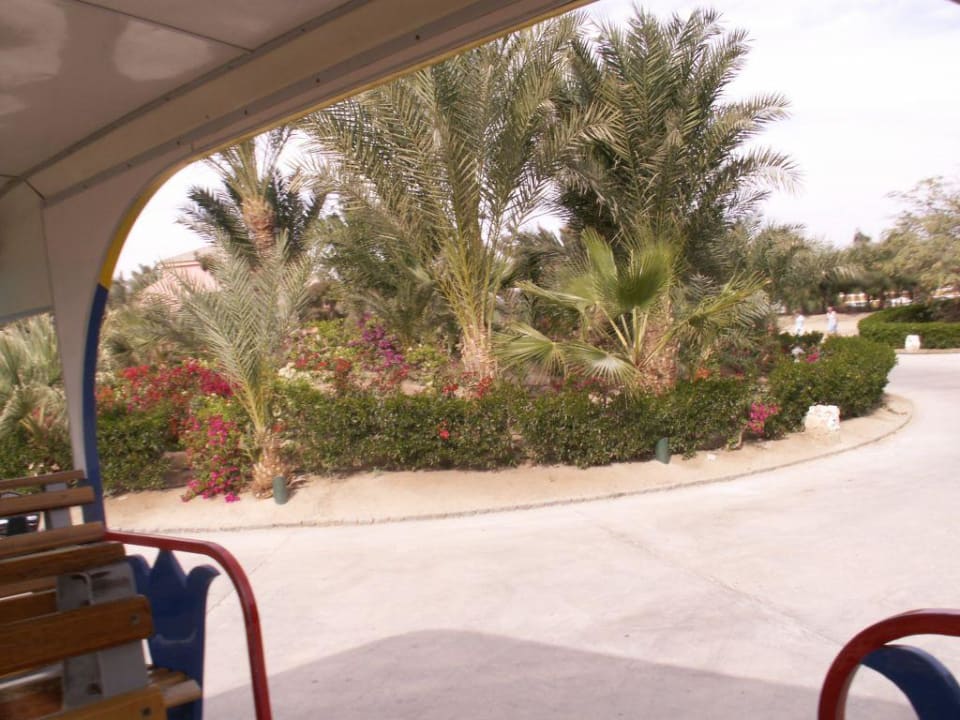 Hoteleinfahrt Mövenpick Resort & Spa El Gouna