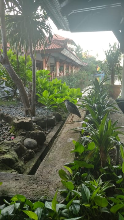 Gartenanlage Ayodya Resort Bali