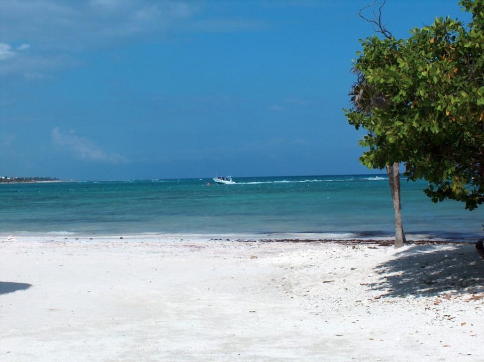 Schöner Strand TRS Yucatan Hotel - Adults only