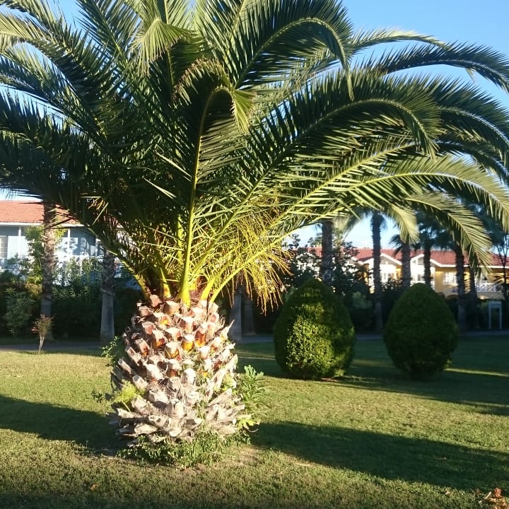 Gartenanlage Sunis Elita Beach Resort & Spa