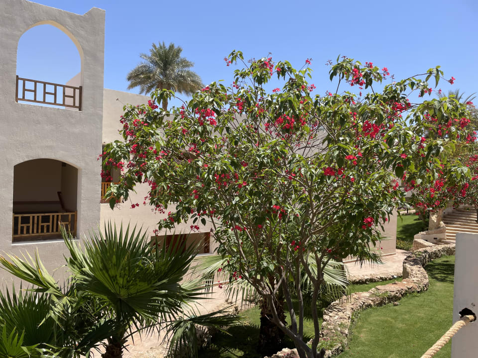 Gartenanlage Pickalbatros Royal Grand Resort - Sharm El Sheikh