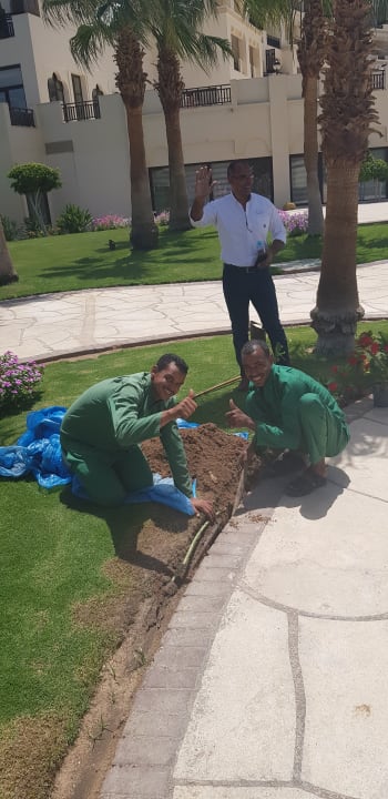 Gartenanlage Steigenberger ALDAU Beach Hotel