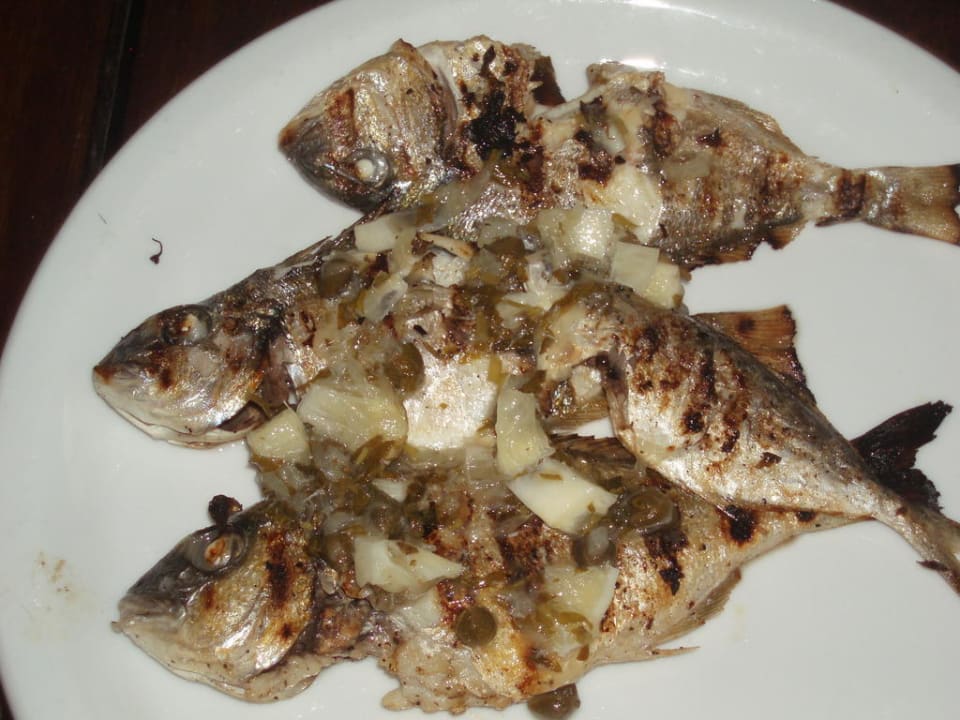 Der selbst gefangene Fisch Calimera One Resort Jockey