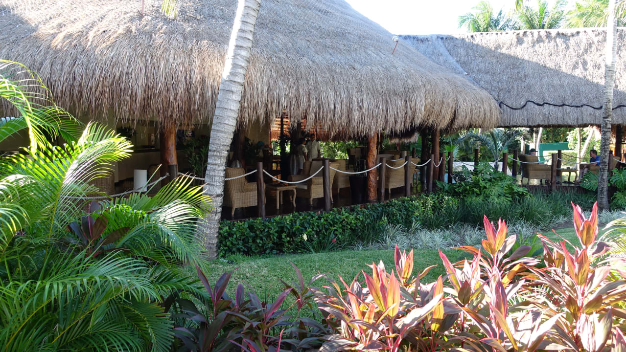 Lobby Akumal Bay Beach & Wellness Resort