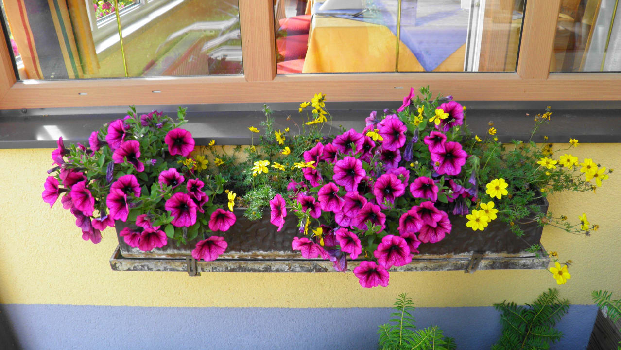 Gasthof Gasthof Zum Kramer