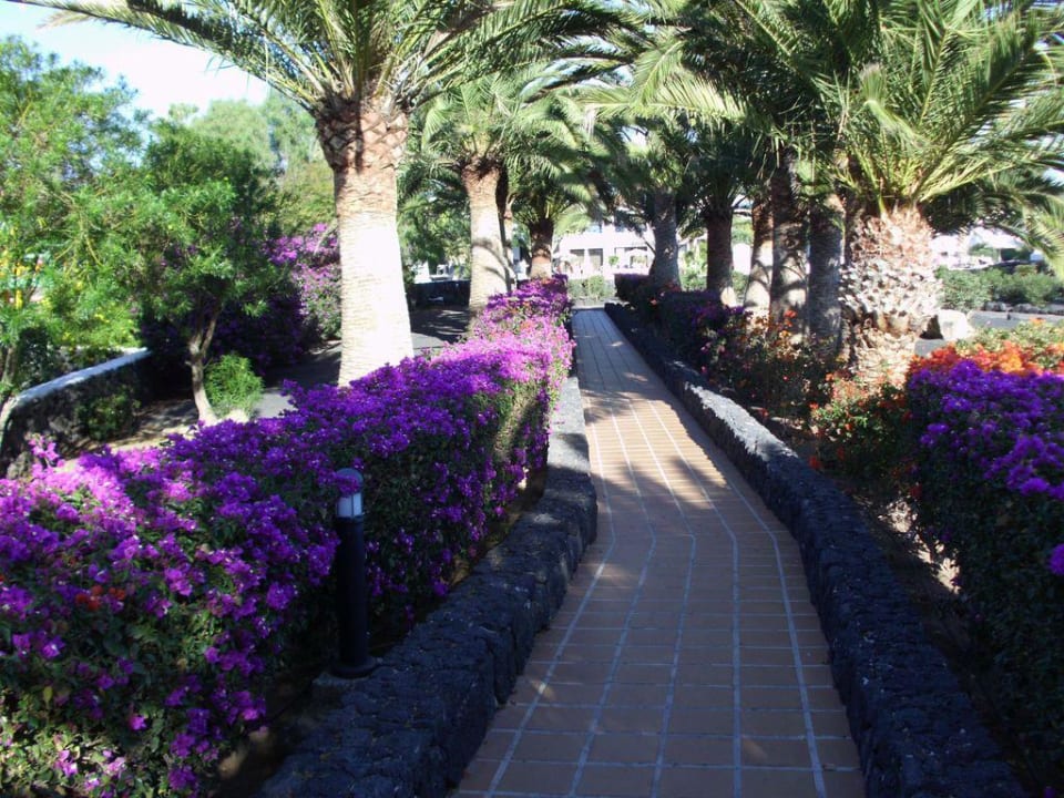 Übergang von den Appartm. zum Hotel Relaxia Olivina