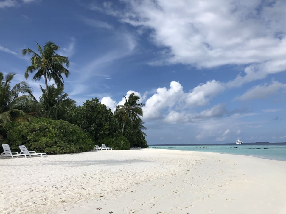 Strand Safari Island Maldives