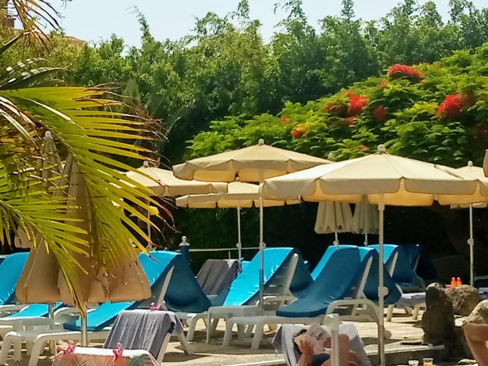 Pool Bull Costa Canaria & Spa - Adults only