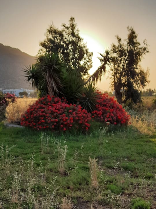 Außenansicht Kalimera Mare