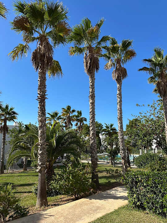 Gartenanlage Cala Llenya Resort Ibiza