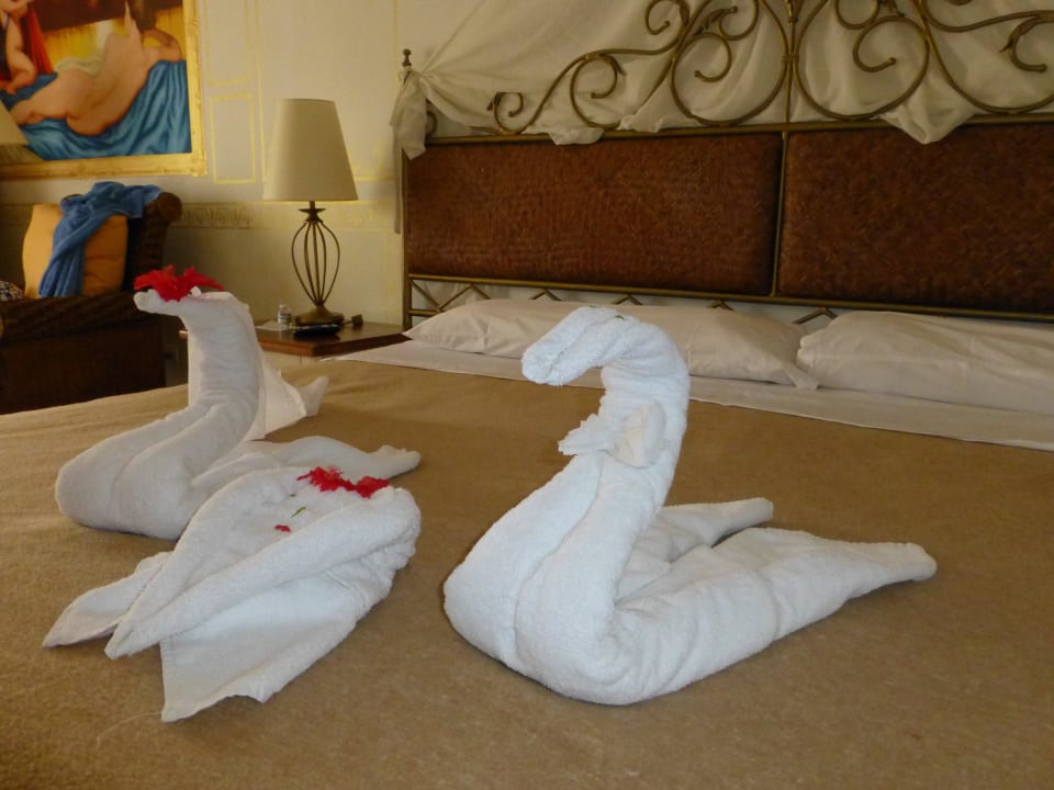 Handtuschwänchen Hotel Playa Pesquero