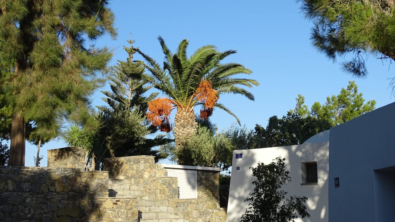 Ogród Hotel Kakkos Bay