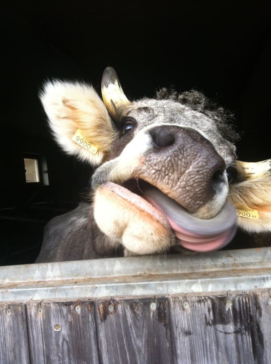 Sonstiges Pension-Biobauernhof Hagenhof