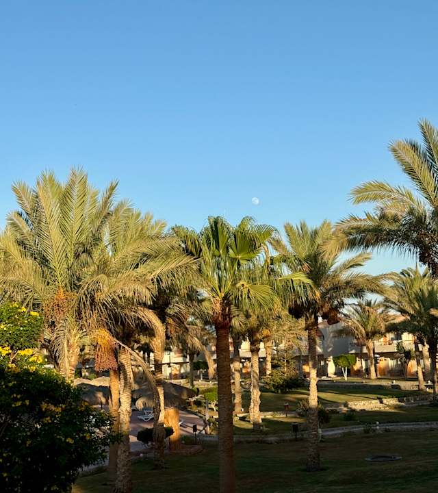 Ausblick Three Corners Sea Beach Resort