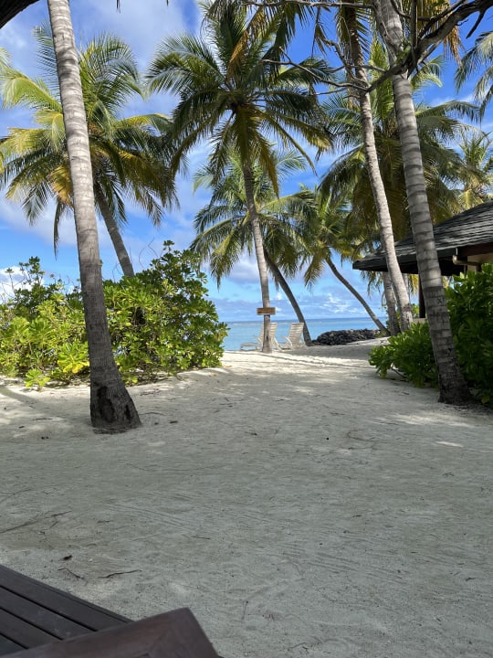 Ausblick Summer Island Maldives