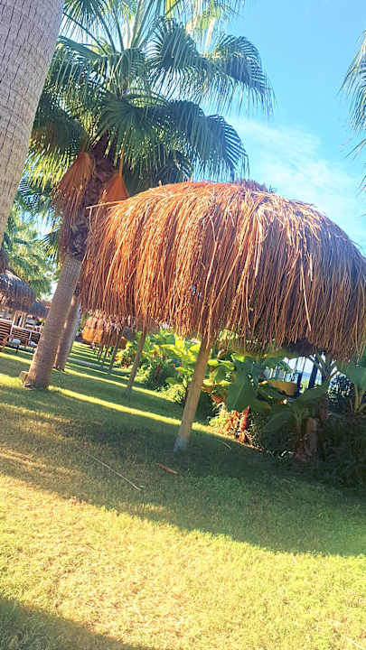 Ausblick Rubi Platinum Sign