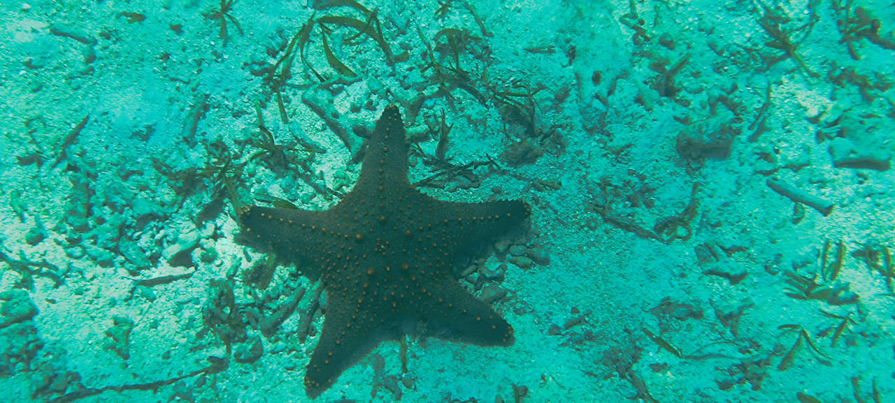 Sonstiges Reef & Beach Resort