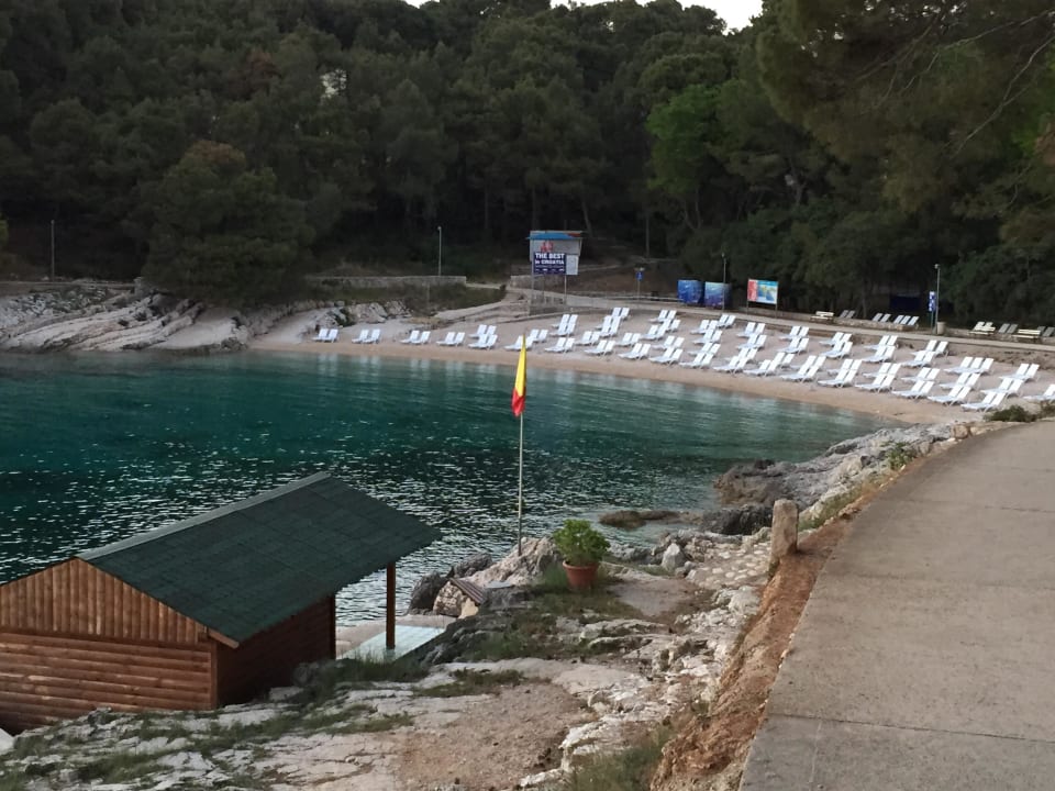 Blick auf den Strand Hotel Aurora