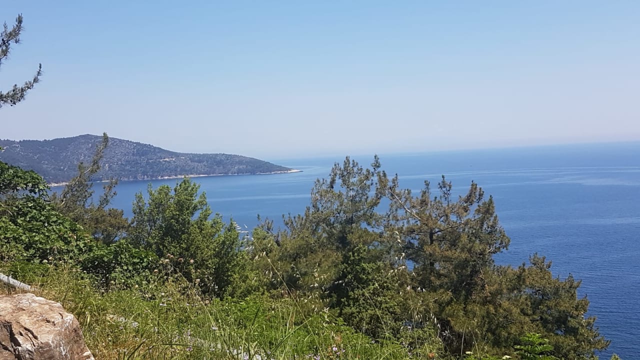 Außenansicht Hotel Ocean Beach