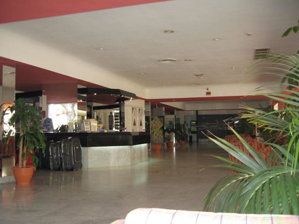 Die Rezeption  allsun Hotel Lucana