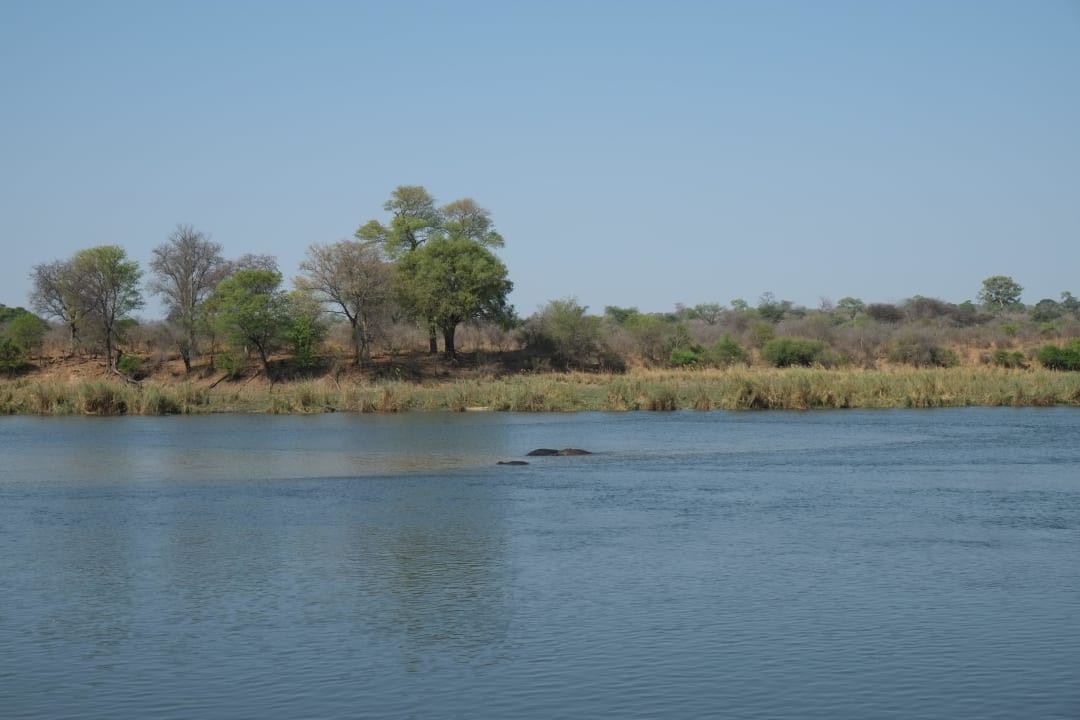 Direkt am Okavango River (darin viele Hippos) Hotel Ndhovu Safari Lodge