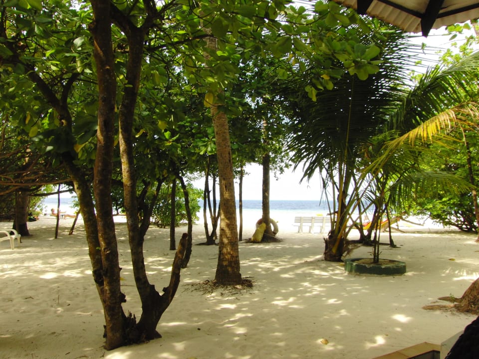 Standard-Zimmer 42 Embudu Village