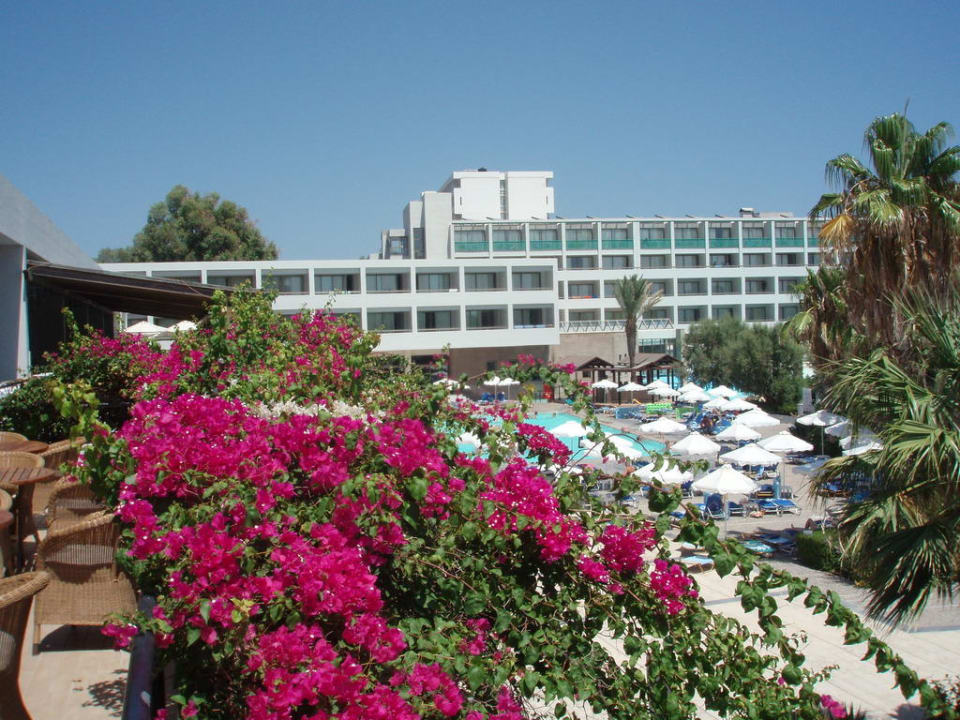 Blick von der Bar über den Pool Grecotel LUXME Dama Dama