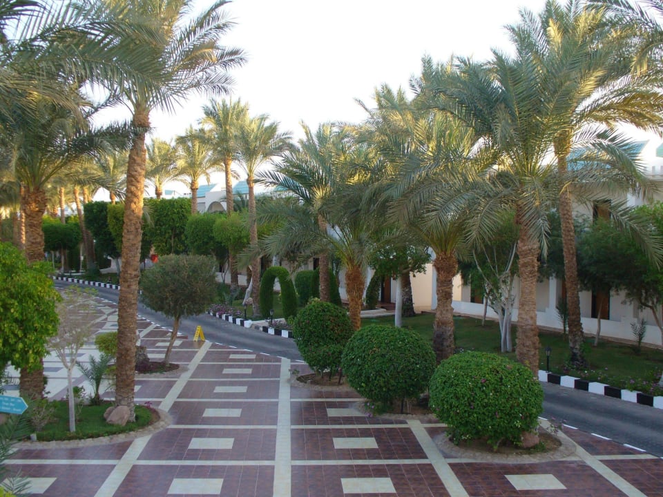 Hotelanlage (beim Cildrens Pool) Sultan Gardens Resort