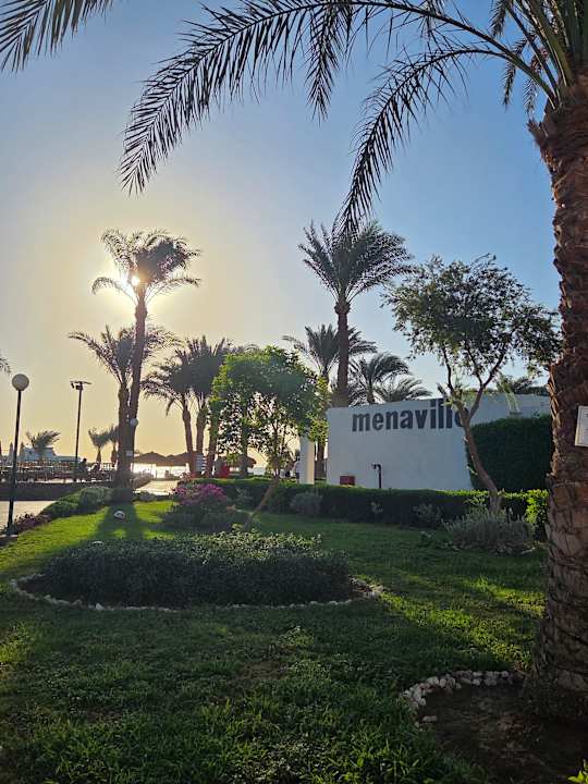 Gartenanlage Menaville Safaga