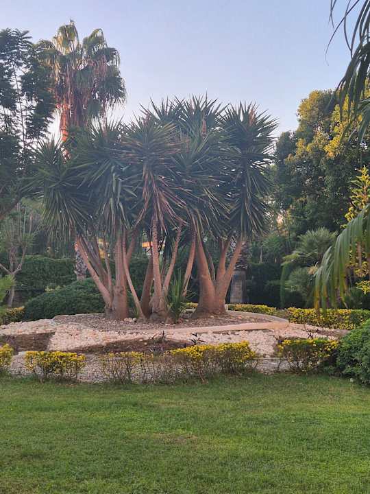 Gartenanlage Sunis Elita Beach Resort & Spa