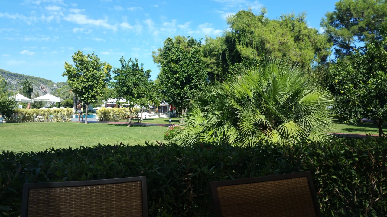 Garten TUI MAGIC LIFE Beldibi +16