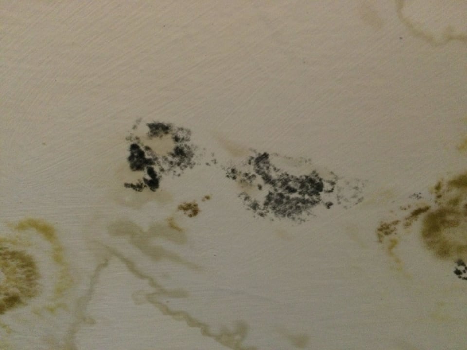 Badezimmerdecke - Schimmel Großaufnahme Maya World Park Hotel