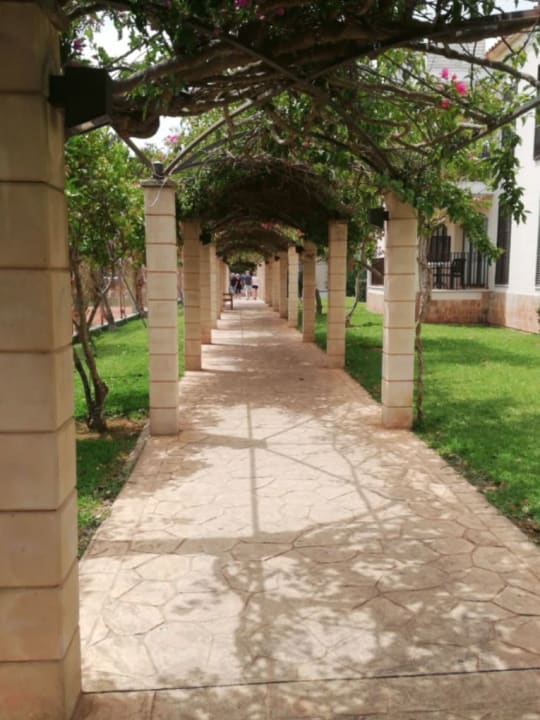 Gartenanlage Protur Floriana Resort Aparthotel