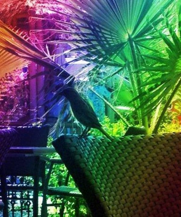 Mooie tuin met vogels My Home Resort