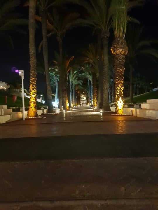 Gartenanlage Monachus Family Resort Sorgun