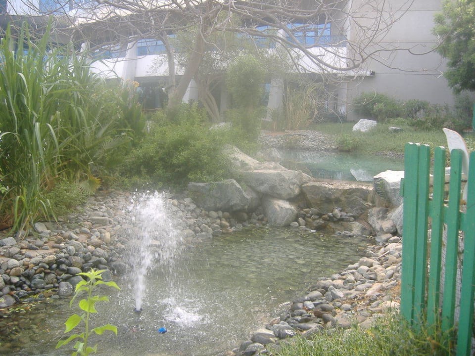 Zahrada Hotel Le Meridien Al Aqah Beach Resort