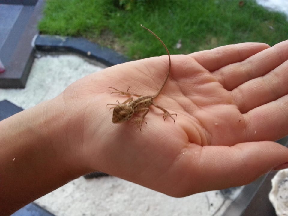 Gecko Adaaran Select Hudhuran Fushi - Premium All Inclusive