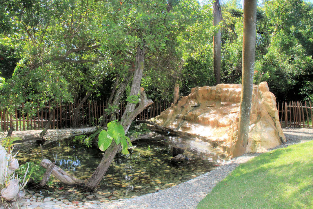 Orchideengarten Iberostar Waves Costa Dorada