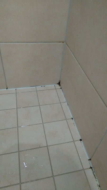 Zimmer Best Western Plus Welcome Hotel Frankfurt