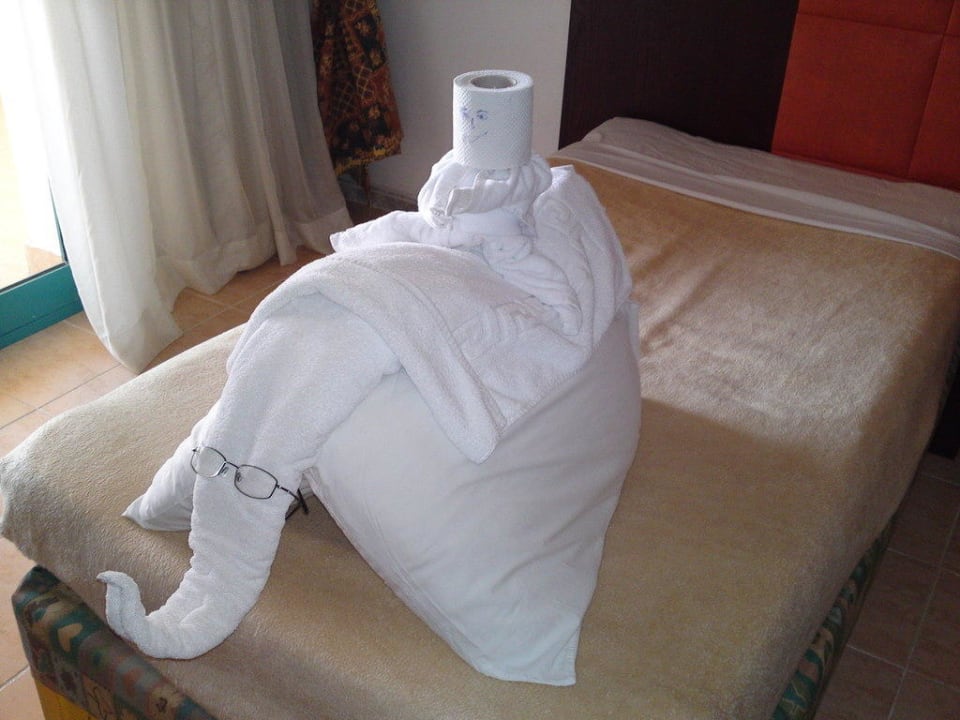 Slon s beduínom Pickalbatros Aqua Park Resort - Hurghada