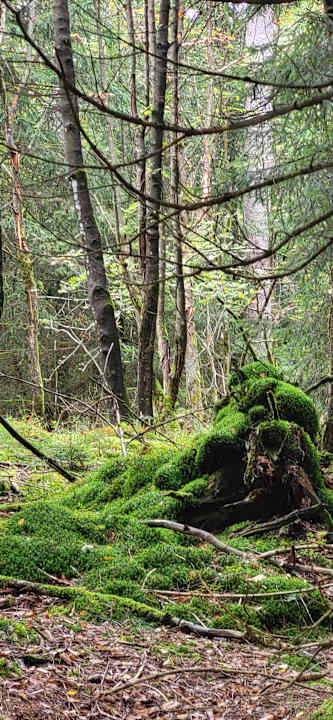 Sport & Freizeit AHORN Panorama Hotel Oberhof