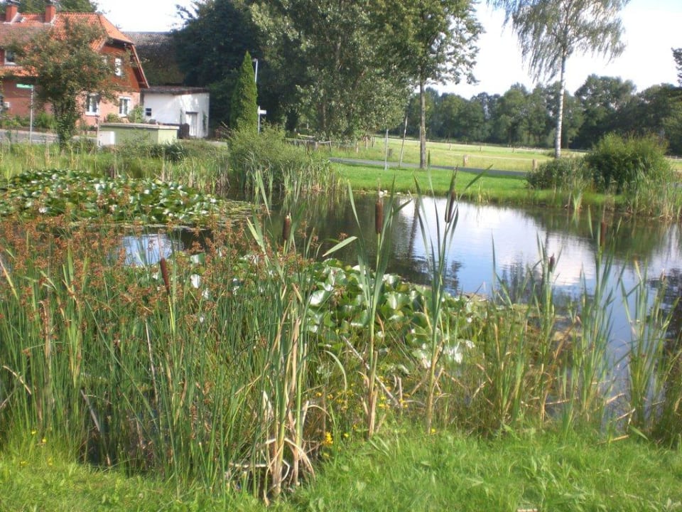 Teich Ringhotel Forellenhof Walsrode