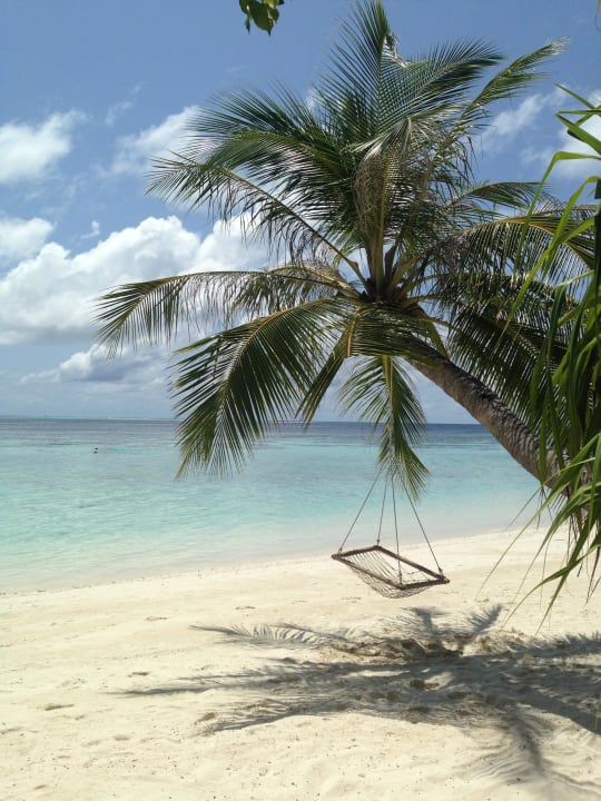 Wahnsinn  Vilamendhoo Island Resort & Spa