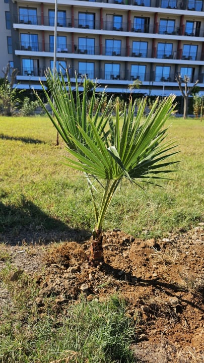 Außenansicht Belek Beach Resort Hotel